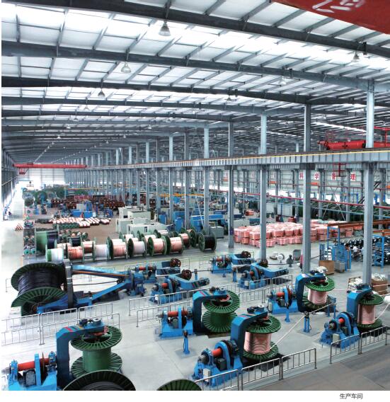 生產(chǎn)車間一覽圖